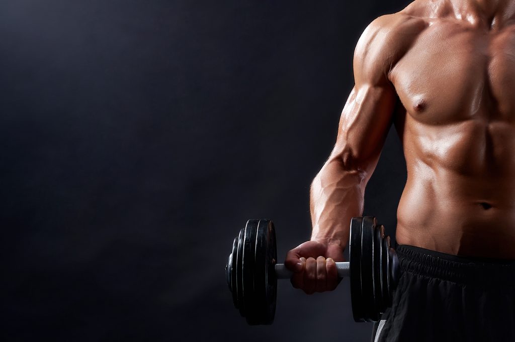 La importancia de la masa muscular
